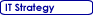 IT strategy